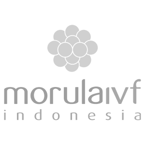 morula