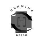 RS Hermina Depok